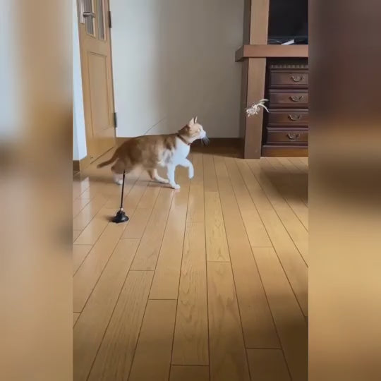 猫ちゃんの狩猟本能を刺激する!?魔法のおもちゃ、バードロッド 猫ちゃんの狩猟本能を刺激する!?魔法のおもちゃ、バードロッド